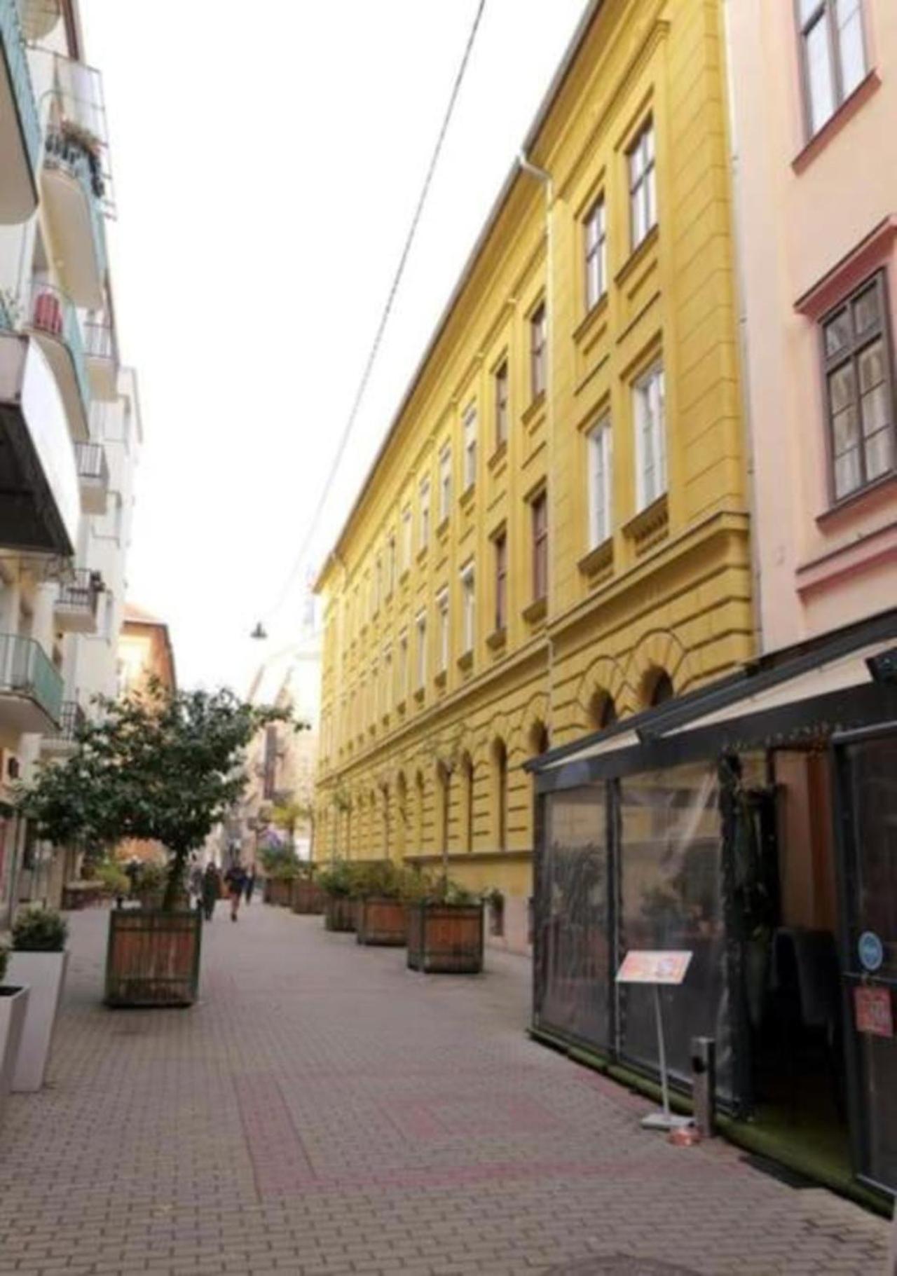 Premium Luxury Opera Near Opera And Basilica Apartment